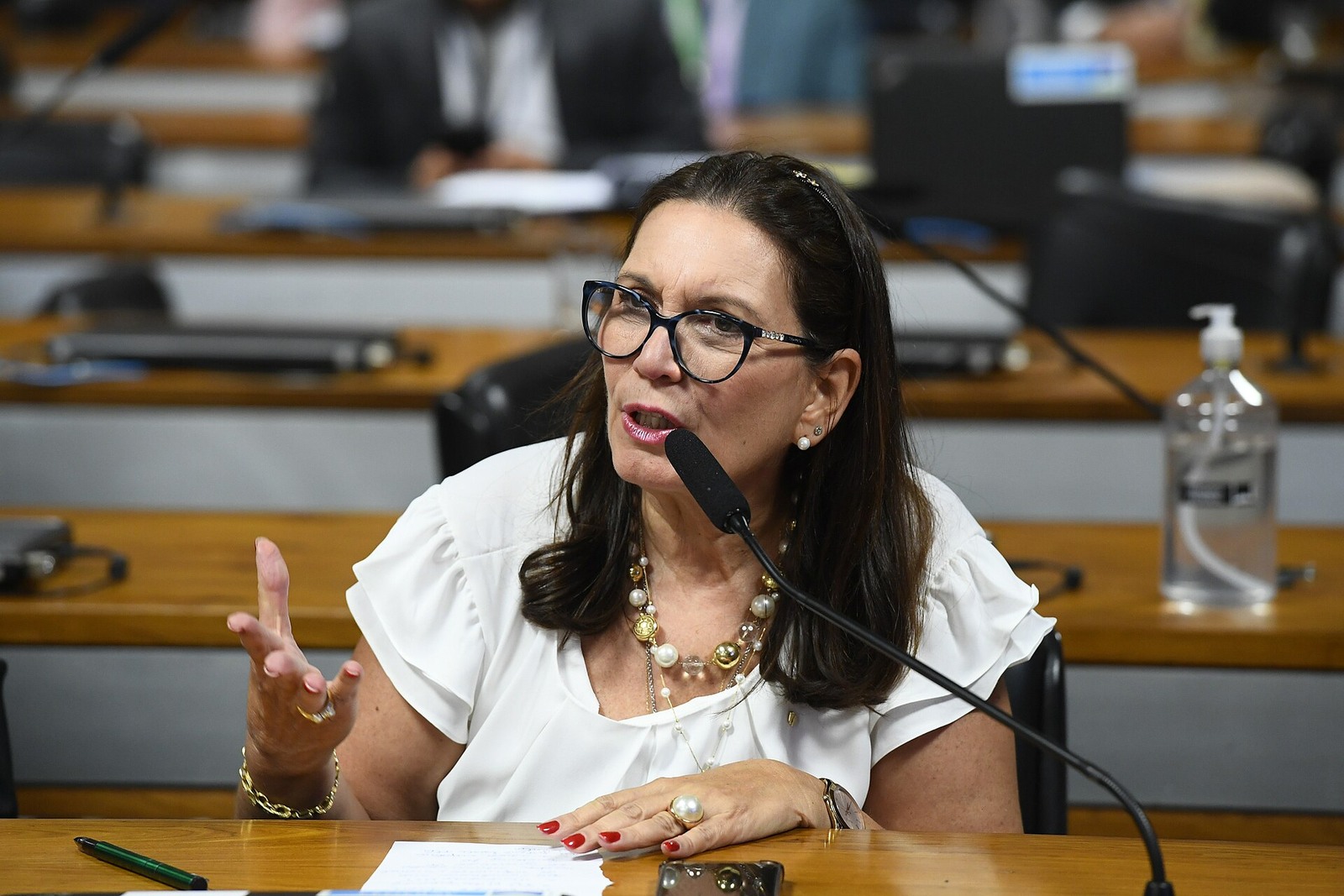 Bia Kicis defende saída de Flávio Bolsonaro e distritais divergem na CLDF